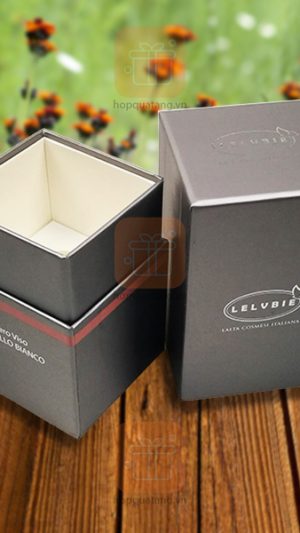 Hộp đựng mỹ phẩm