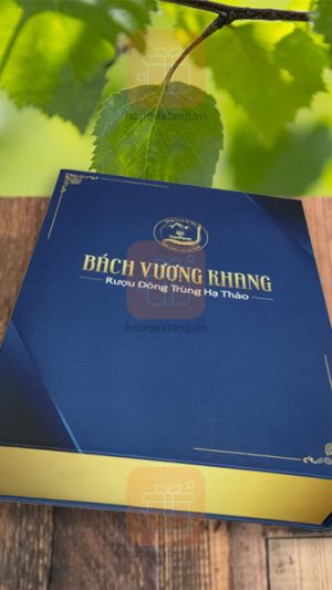 Hộp rượu Đông trùng hạ thảo