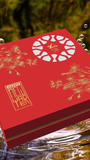 Hộp quà Tết