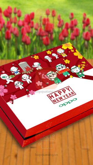 Hộp quà Tết năm mới